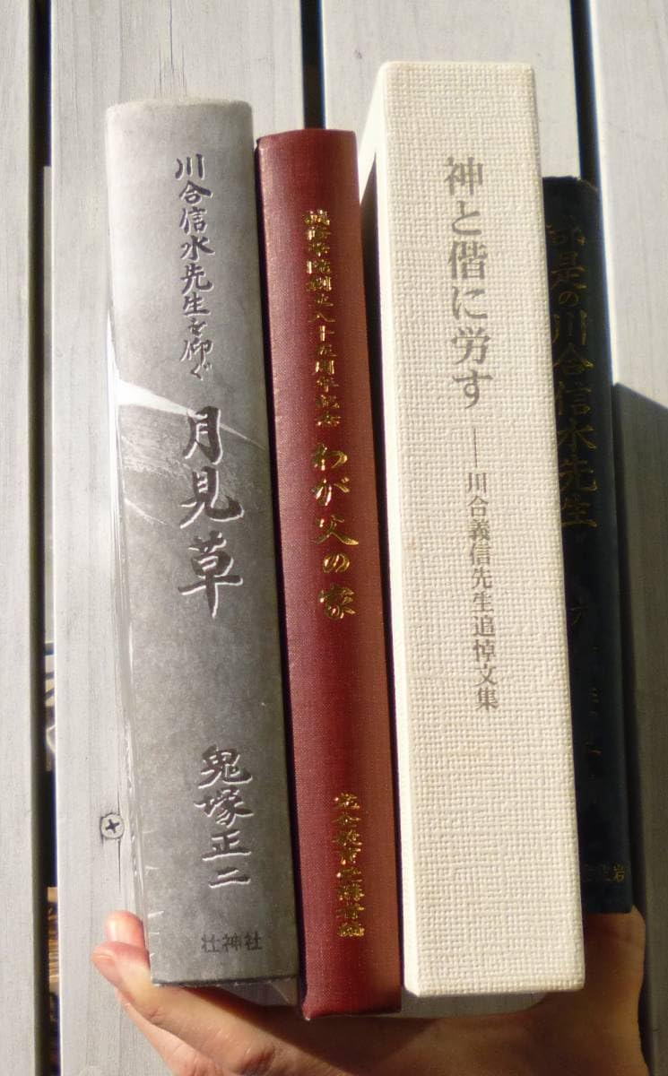 川合信水関連書籍 全11冊 川合信水 論語 肥田春充 押川方義